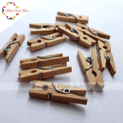 PLAIN WOODEN PEGS