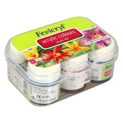 Fevicryl Acrylic Paint	(Code671)