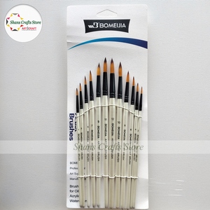 Bomeijia Artist Brushes 12 Pcs